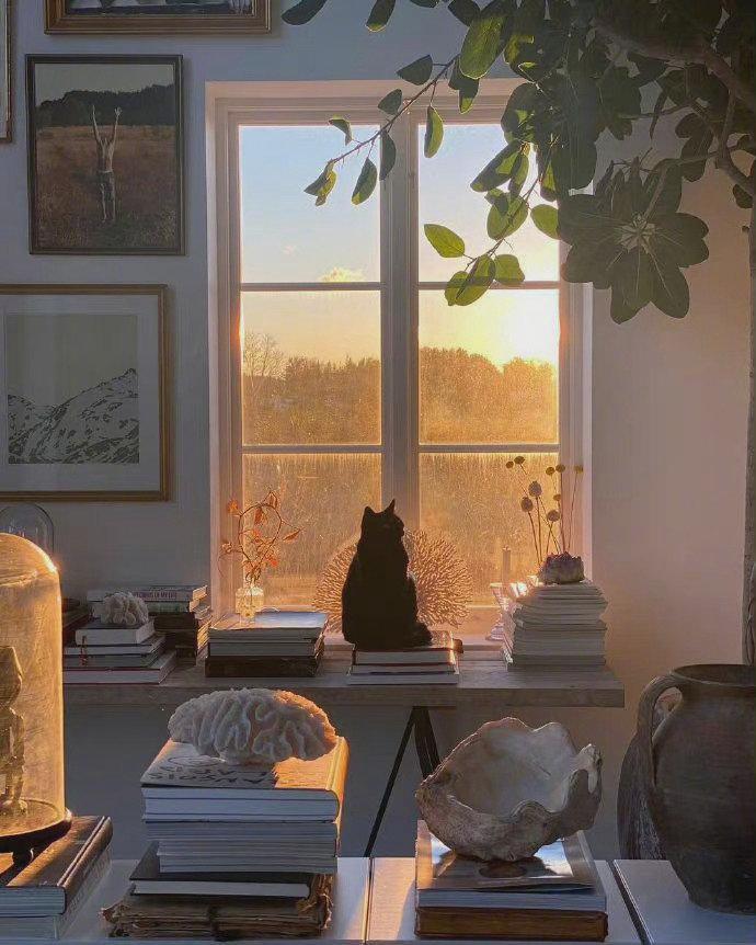 精心挑选的晚安心语文案说说：繁华过处皆如烟，淡淡人生静静过(图14)