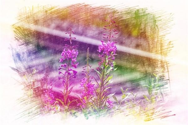 10句最激励人心的句子，句句正能量，送给迷茫的你(图1)