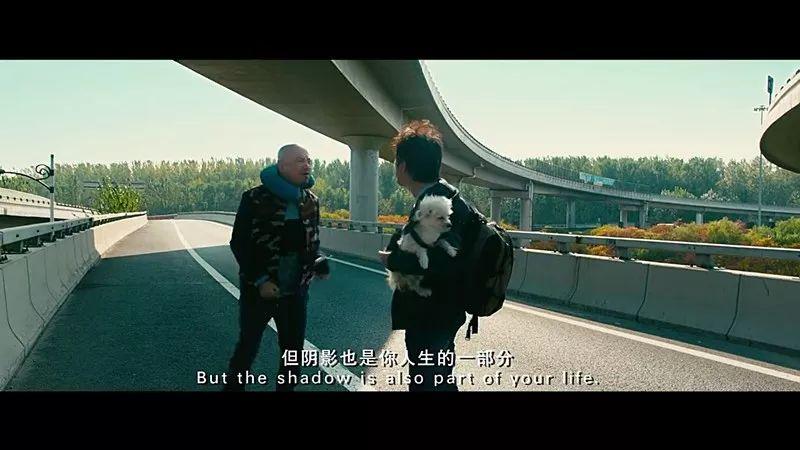 50句惊艳世人的电影台词：请原谅我戳痛了你所有记忆(图28)