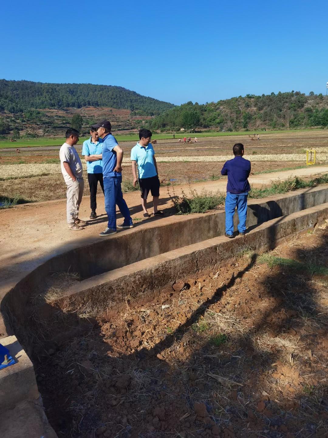 稻花香中说丰收(图3)