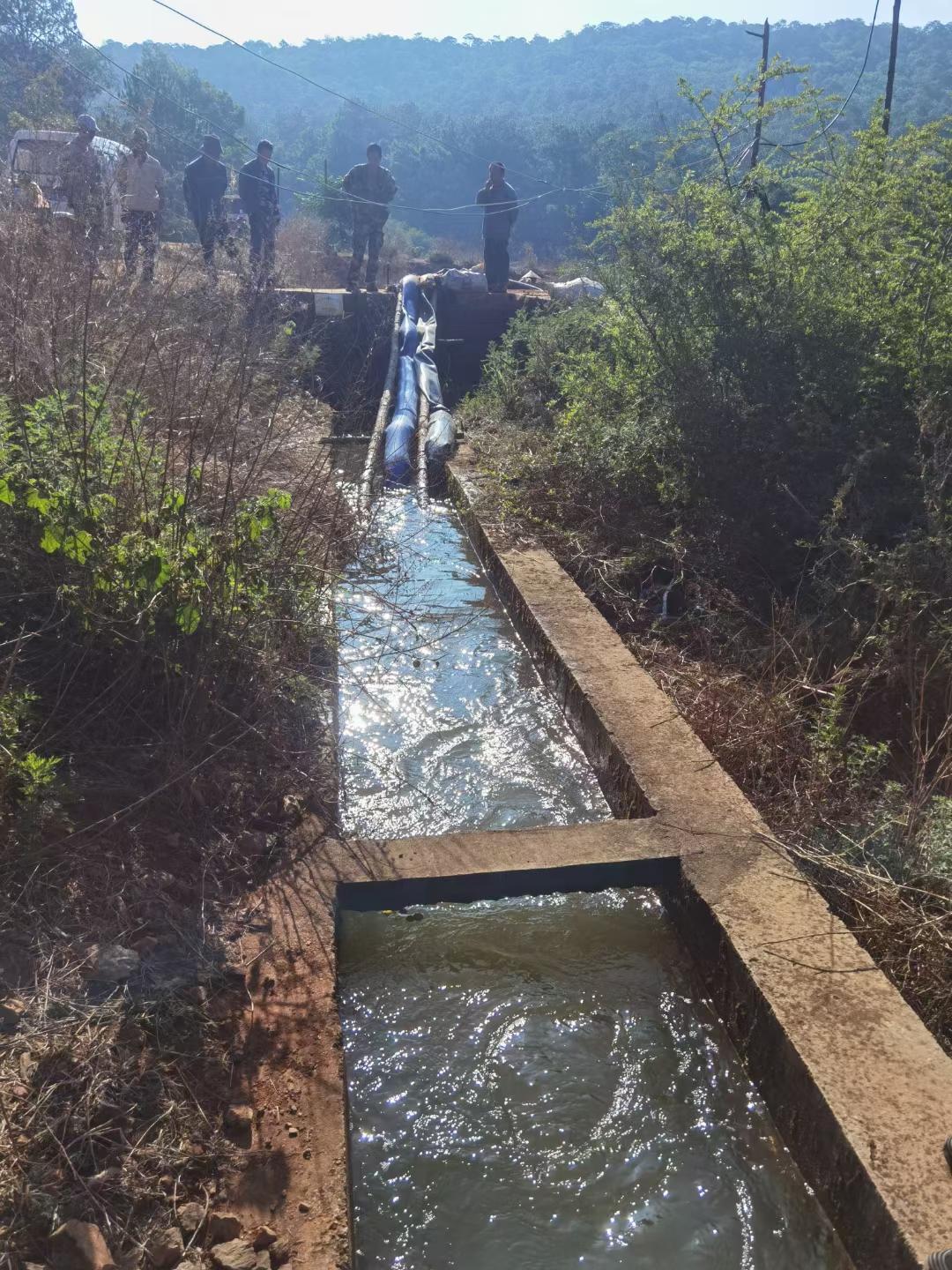 稻花香中说丰收(图7)