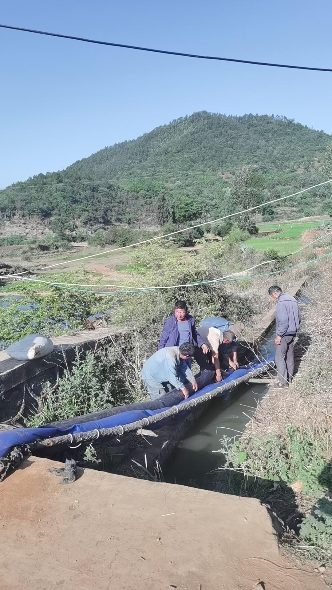 稻花香中说丰收(图9)