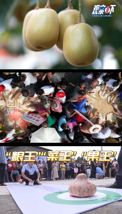 观察1下丨丰收了！这些四川地标农产品你可别错过(图1)