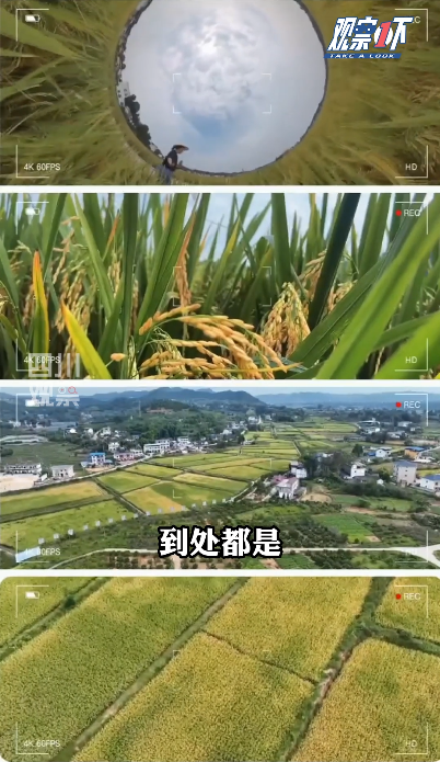 观察1下丨丰收了！这些四川地标农产品你可别错过(图2)