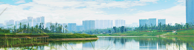 “双减”新区校园在行动 | 在飞花令中感悟诗词之美(图1)