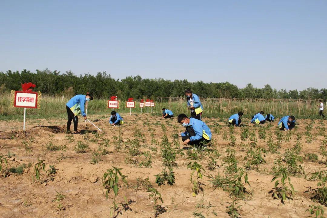 诗香润校园 红色传经典 | 诗词学会滨州市高级技工学校采风作品集萃(图16)