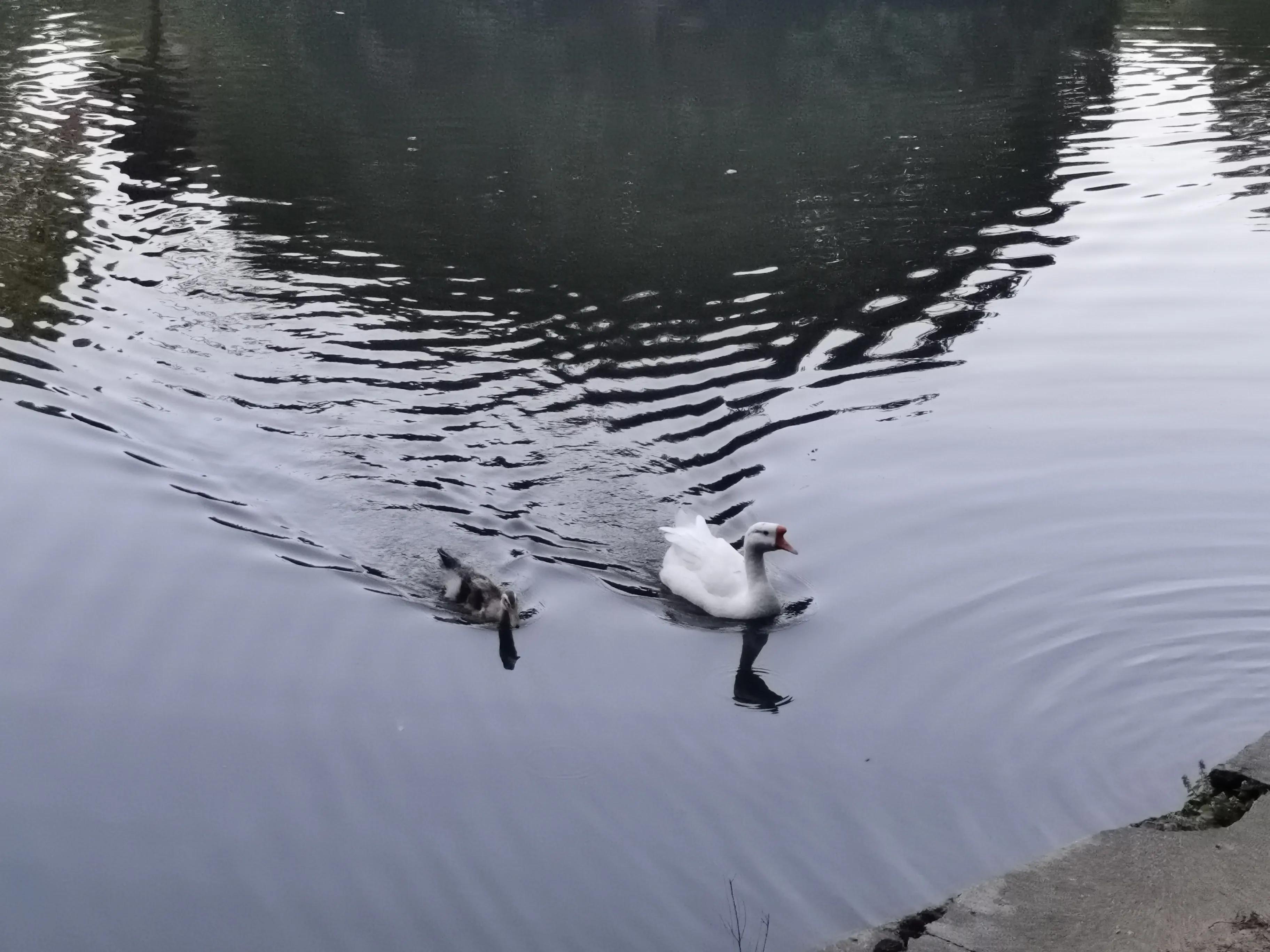 摘抄 | 文学著作里的那些经典语录(图1)