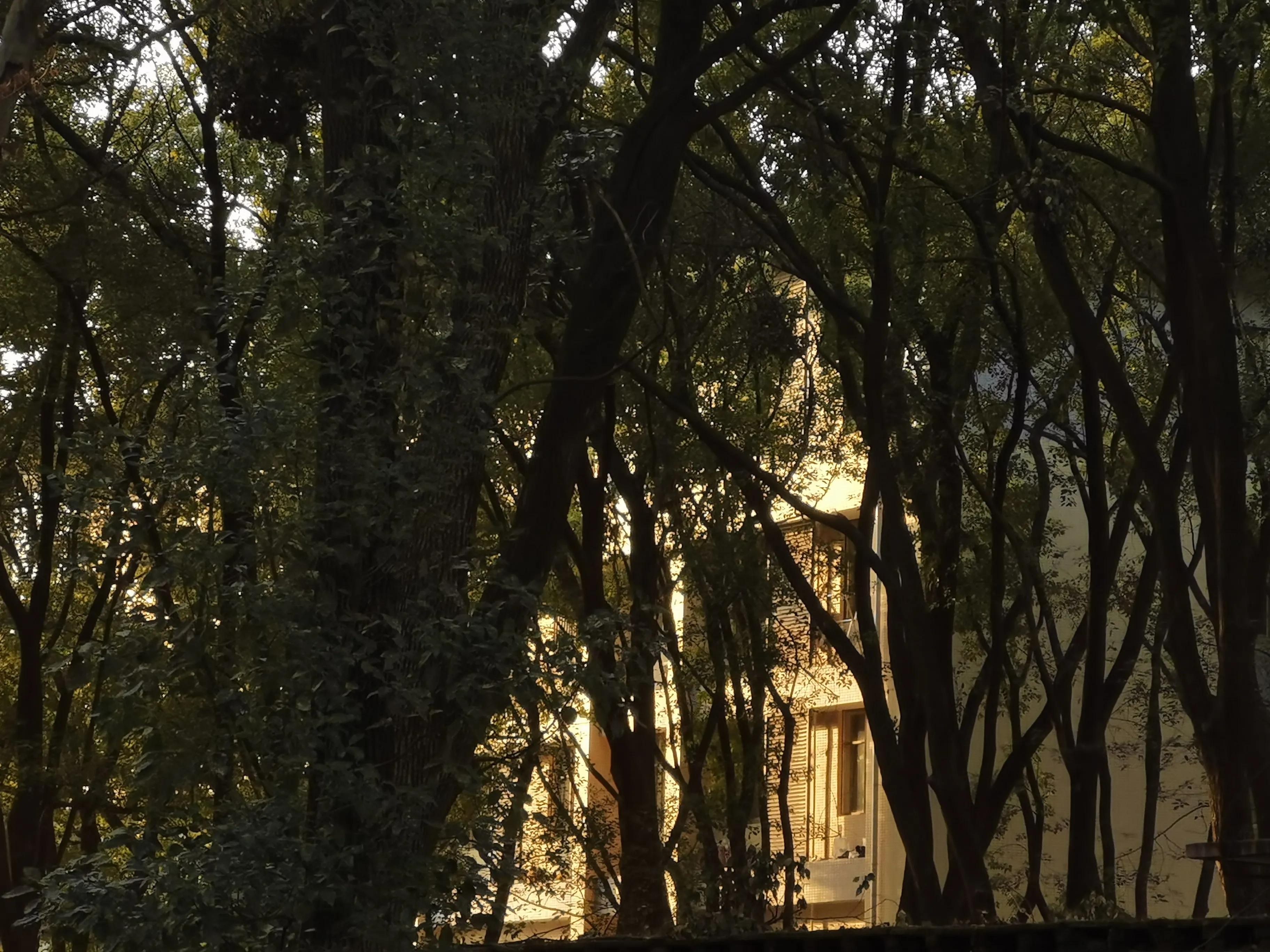 摘抄 | 文学著作里的那些经典语录(图3)