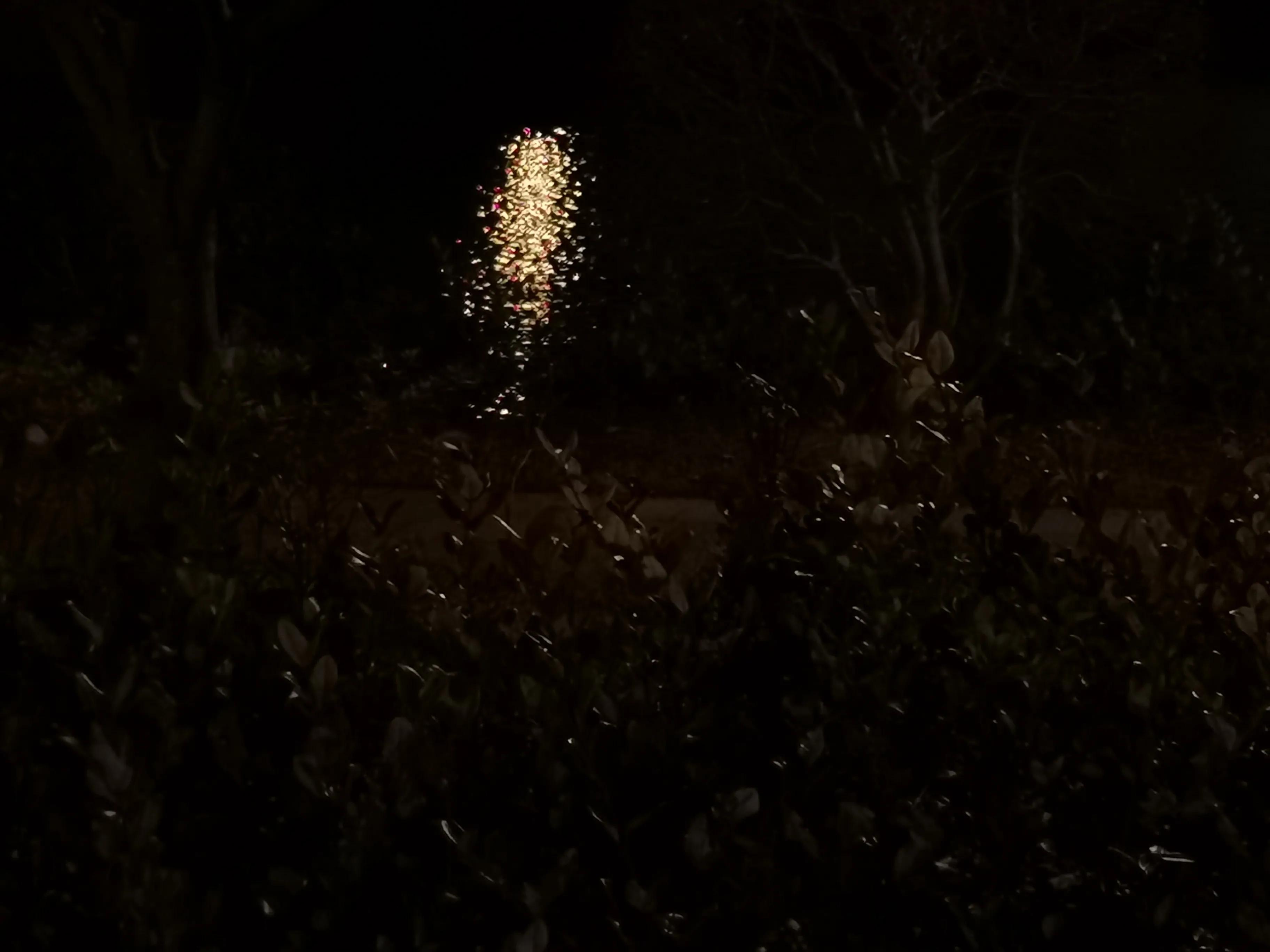 摘抄 | 文学著作里的那些经典语录(图4)