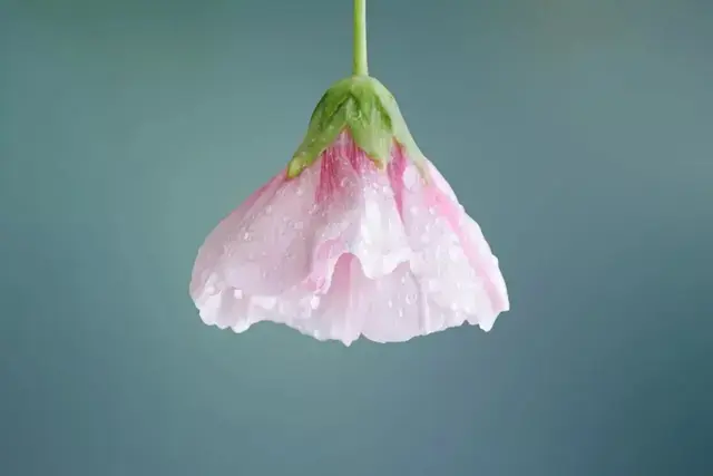 盘点30句句句惊艳的经典书摘录，拯救书荒的你(图1)