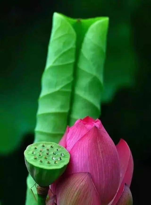 盘点30句句句惊艳的经典书摘录，拯救书荒的你(图2)