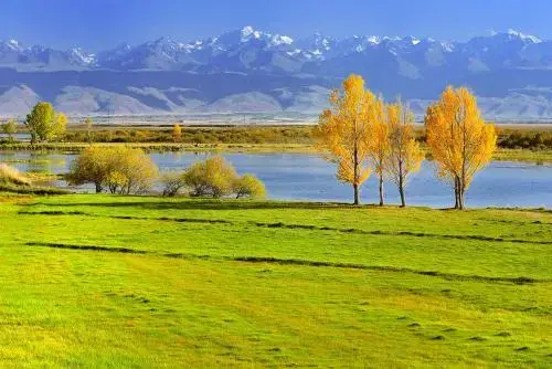 盘点30句句句惊艳的经典书摘录，拯救书荒的你(图4)