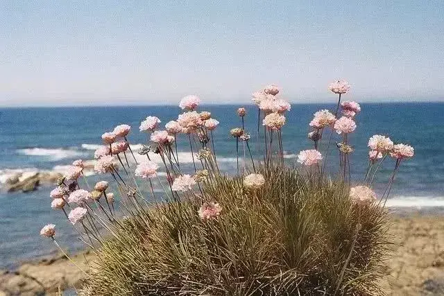 那些文学作品中值得摘抄下来的句子(图11)