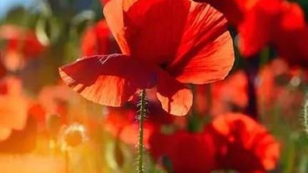 最经典的25句话（建议收藏）(图1)