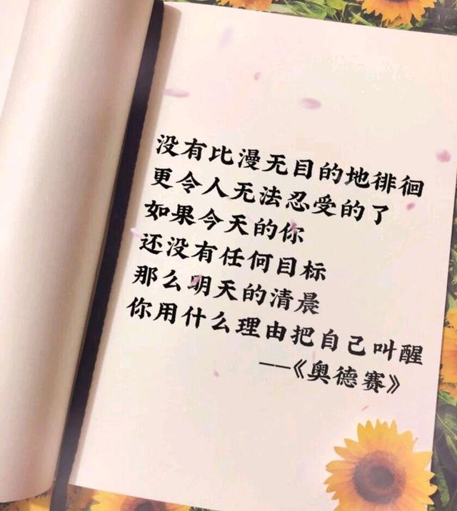 最新的奋斗的励志句子，正能量满满(图2)