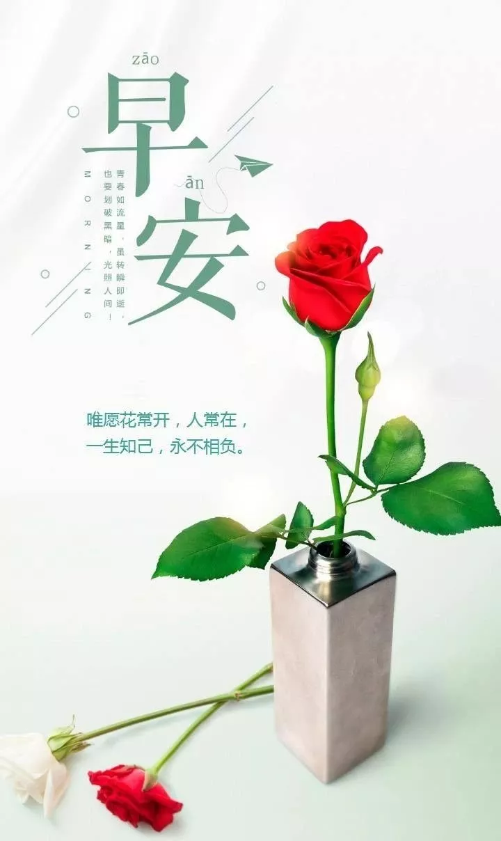 「2023.10.18」早安心语，正能量超棒精美语录句子，祝福问候图片(图5)