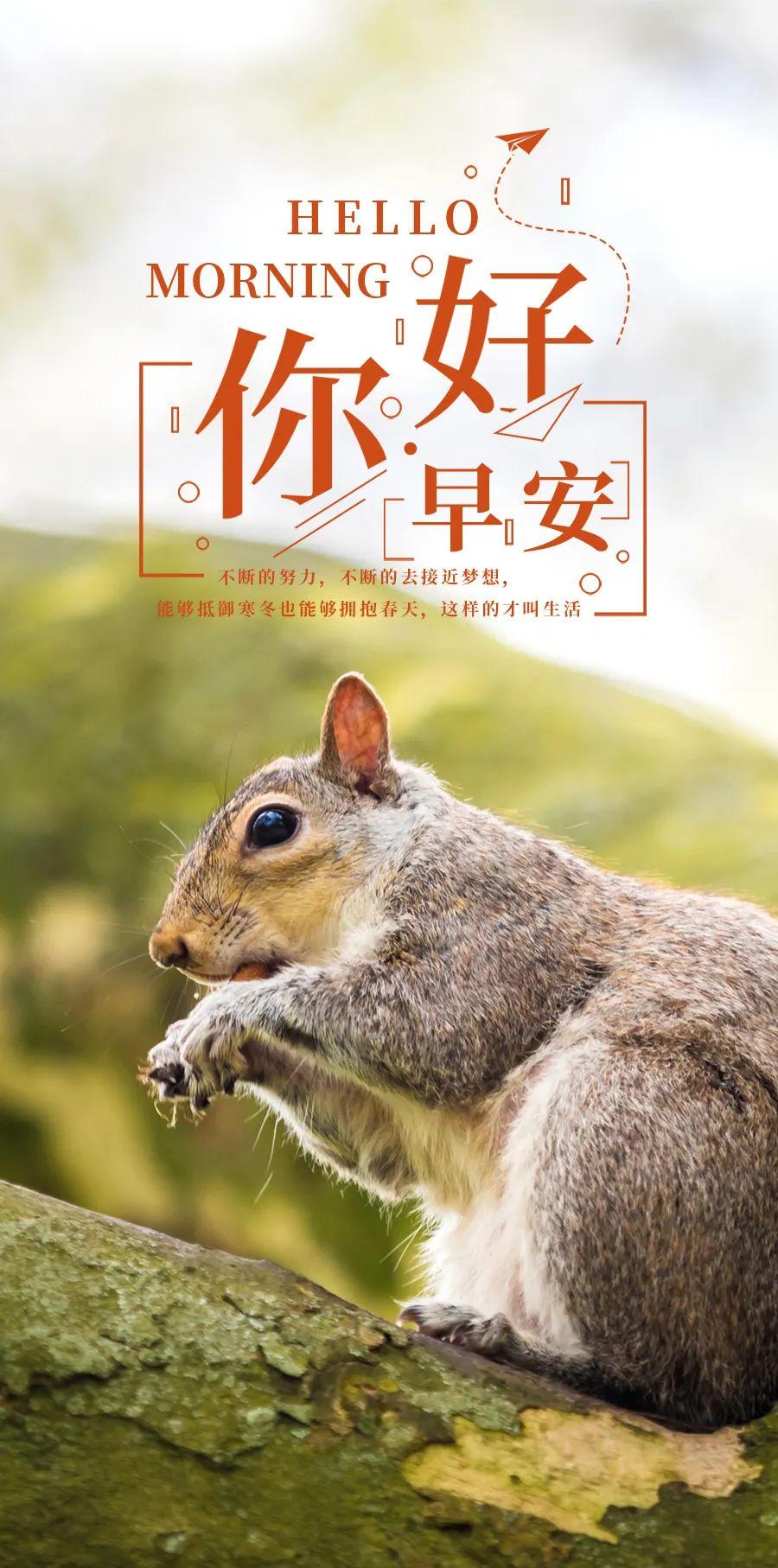 「2023.10.18」早安心语，正能量超棒精美语录句子，祝福问候图片(图10)