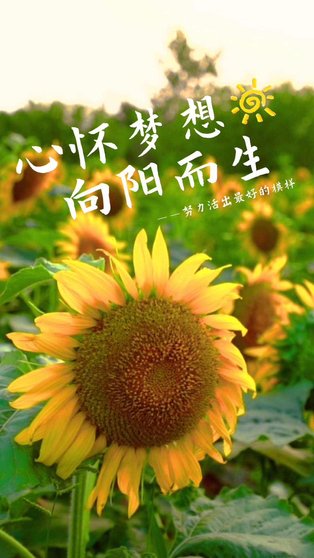 「2023.10.18」早安心语，正能量超棒精美语录句子，祝福问候图片(图12)