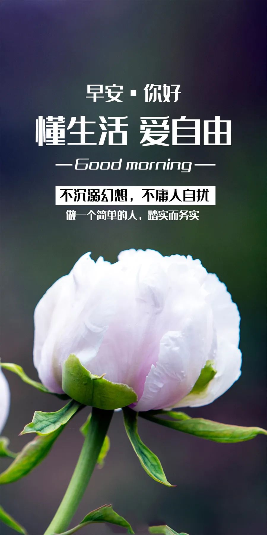 「2023.10.18」早安心语，正能量超棒精美语录句子，祝福问候图片(图33)