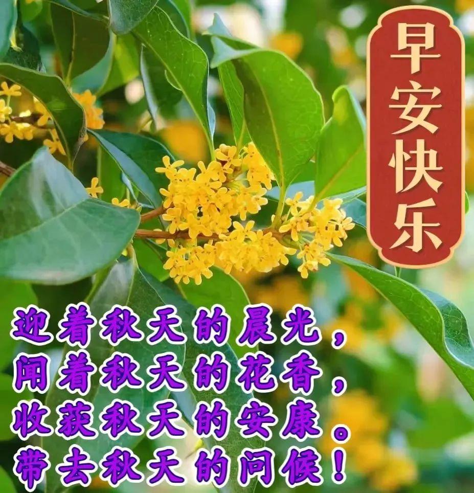 「2023.10.18」早安心语，正能量超棒精美语录句子，祝福问候图片(图45)