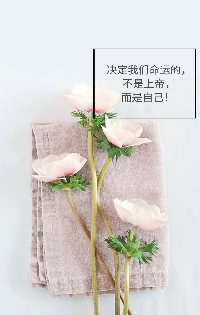 「2023.10.18」早安心语，正能量超棒精美语录句子，祝福问候图片(图52)