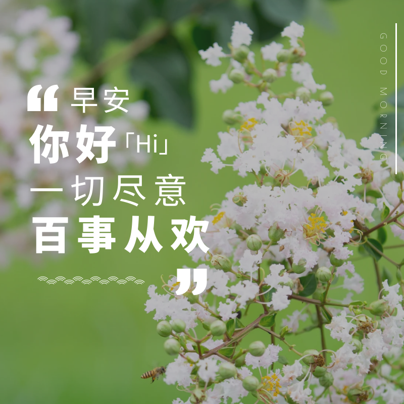 「2023.10.18」早安心语，正能量超棒精美语录句子，祝福问候图片(图59)