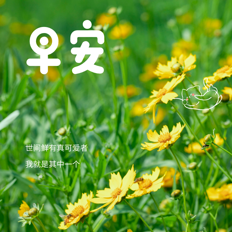 「2023.10.18」早安心语，正能量超棒精美语录句子，祝福问候图片(图63)