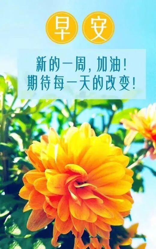 「2023.10.16」早安心语，正能量智慧语录句子，精辟给力短句图片(图20)