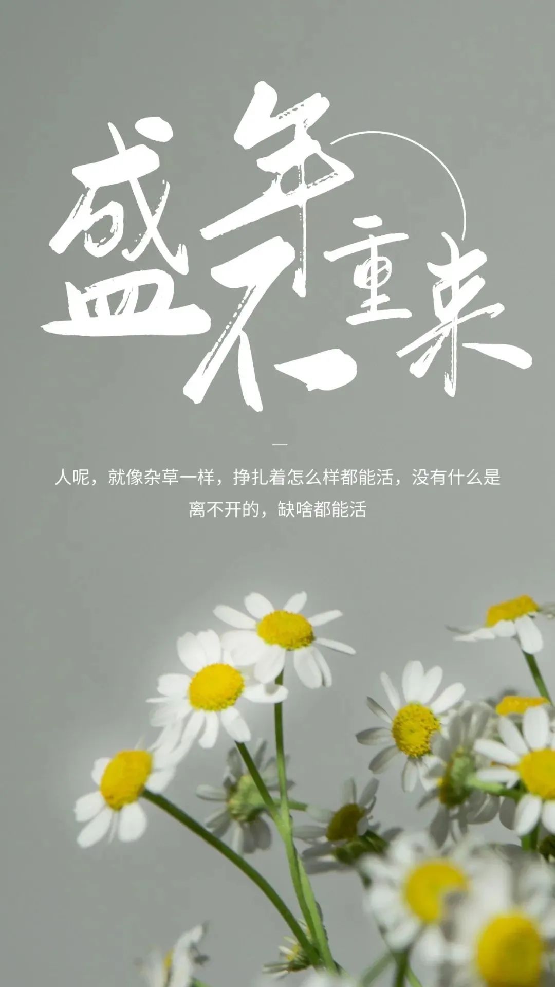 「2023.10.16」早安心语，正能量智慧语录句子，精辟给力短句图片(图22)