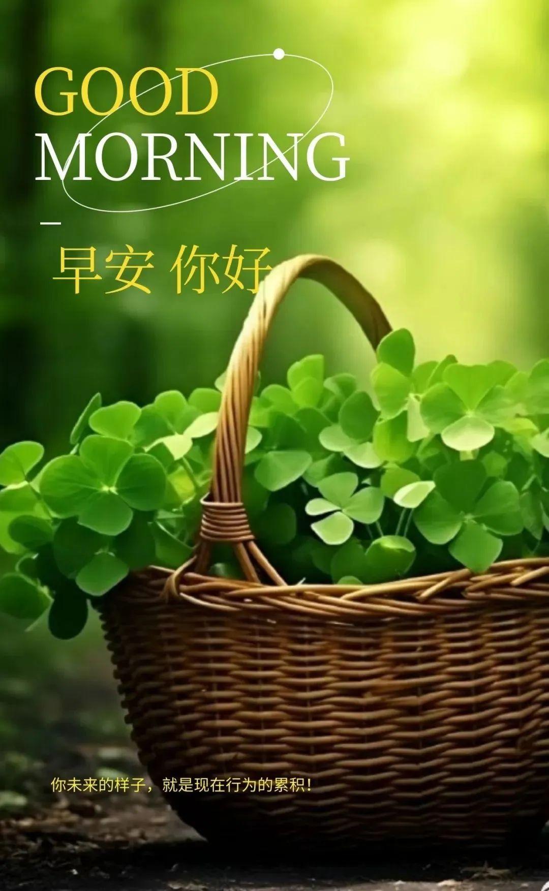 「2023.10.16」早安心语，正能量智慧语录句子，精辟给力短句图片(图25)