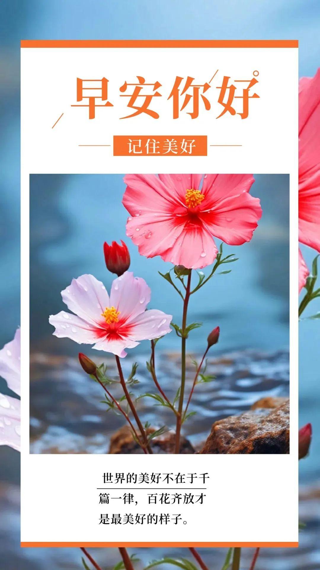 「2023.10.16」早安心语，正能量智慧语录句子，精辟给力短句图片(图31)