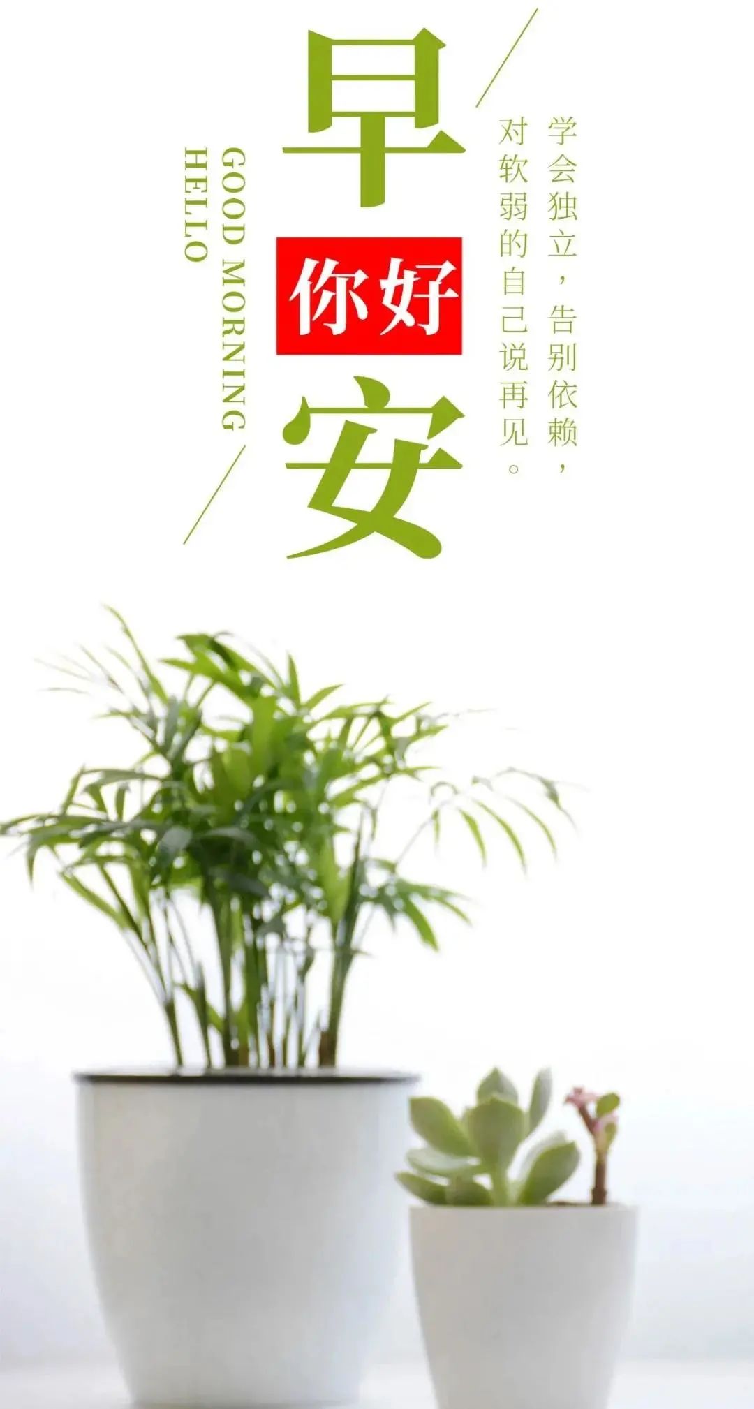 「2023.10.16」早安心语，正能量智慧语录句子，精辟给力短句图片(图49)