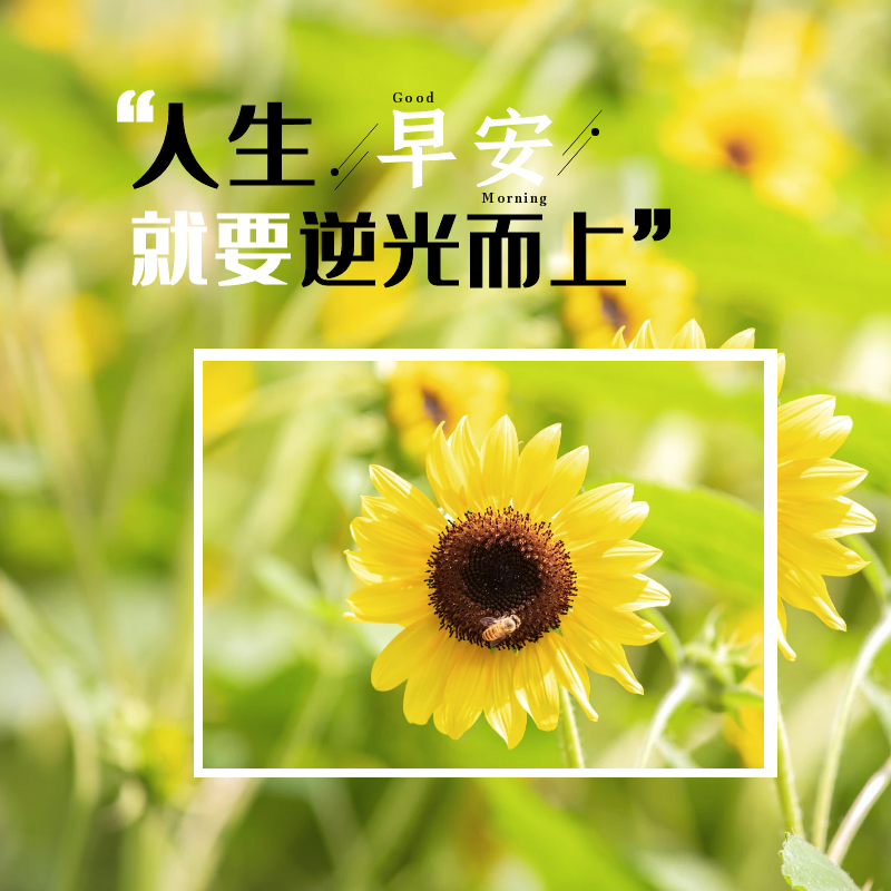 「2023.10.16」早安心语，正能量智慧语录句子，精辟给力短句图片(图53)