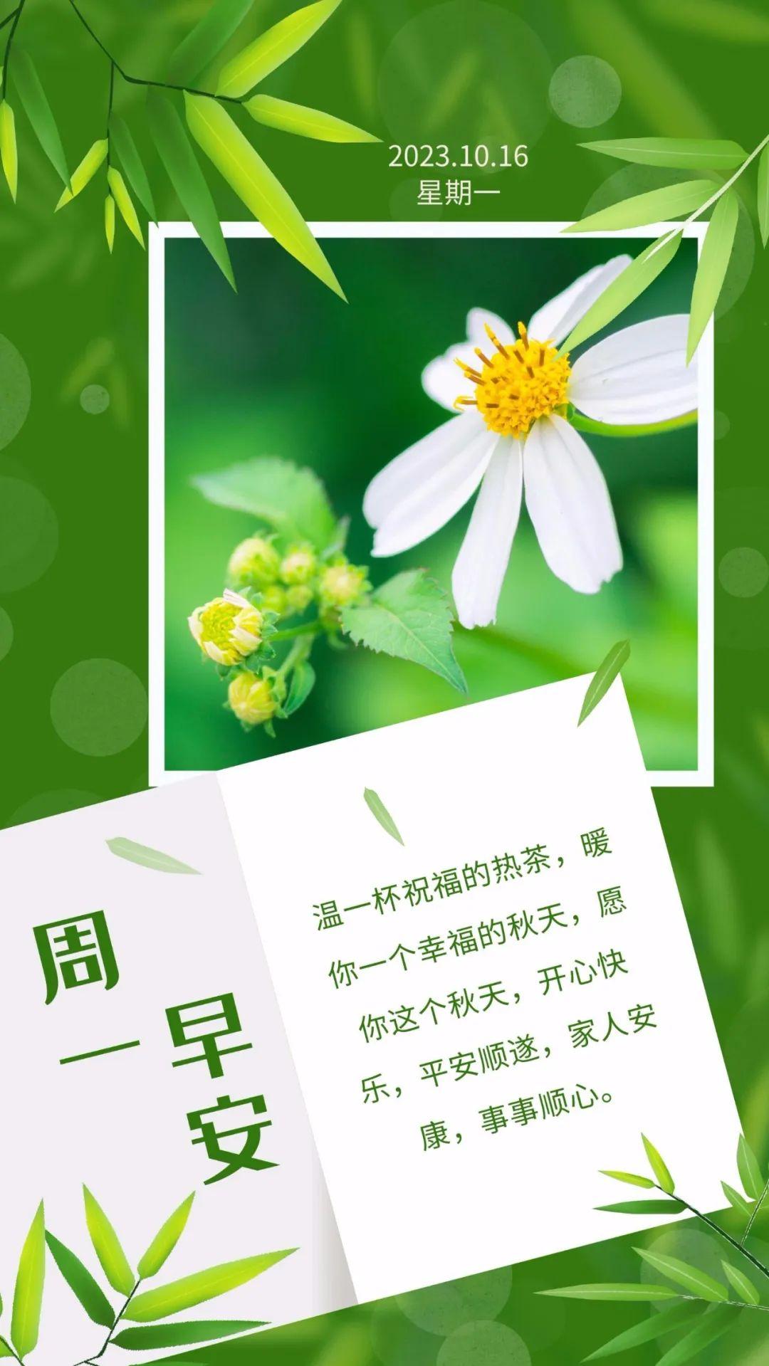 「2023.10.16」早安心语，正能量智慧语录句子，精辟给力短句图片(图66)