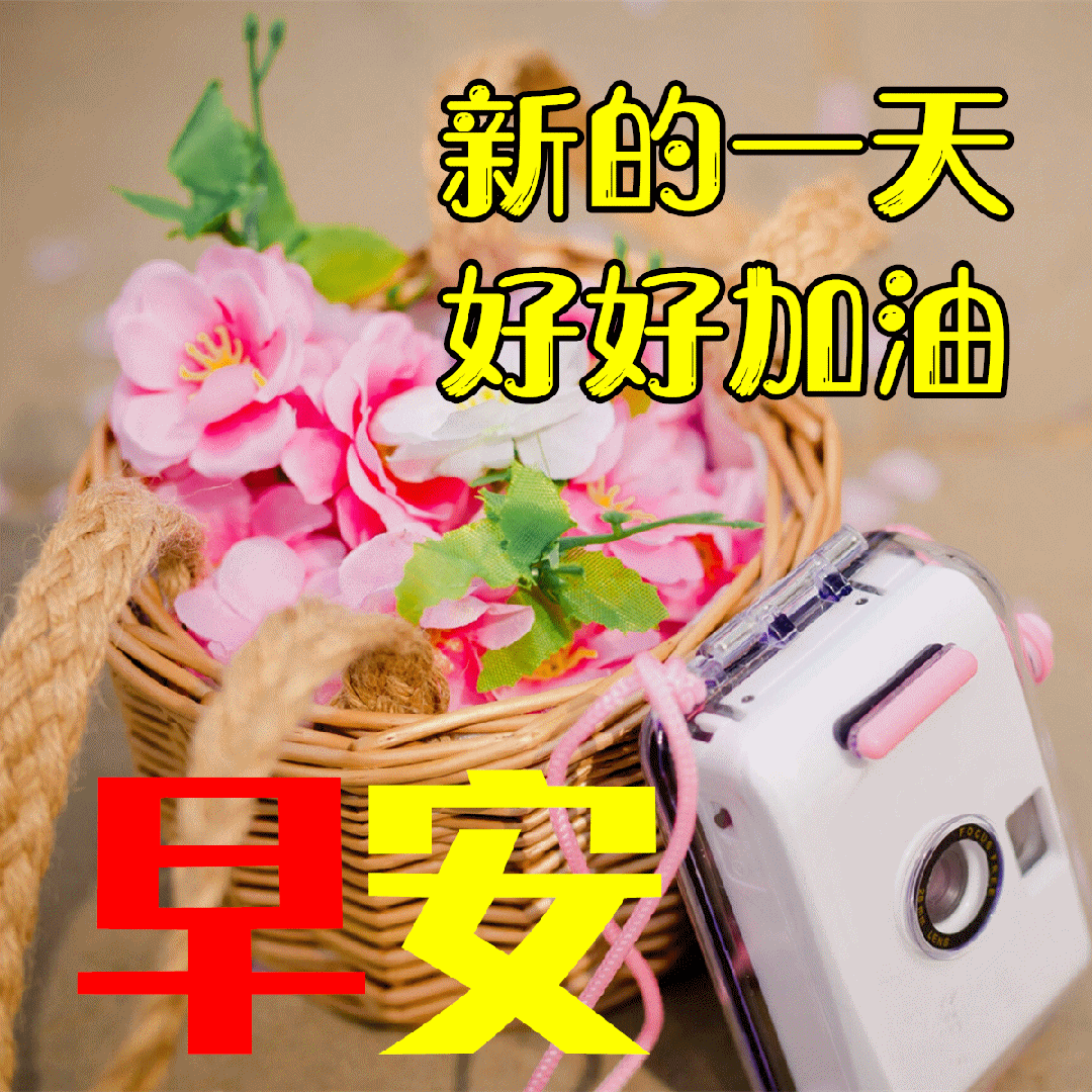 「2023.10.16」早安心语,正能量智慧语录句子,精辟给力短句图片(图69) 「2023.10.16」早安心语,正能量智慧语录句子,精辟给力短句图片(图69)