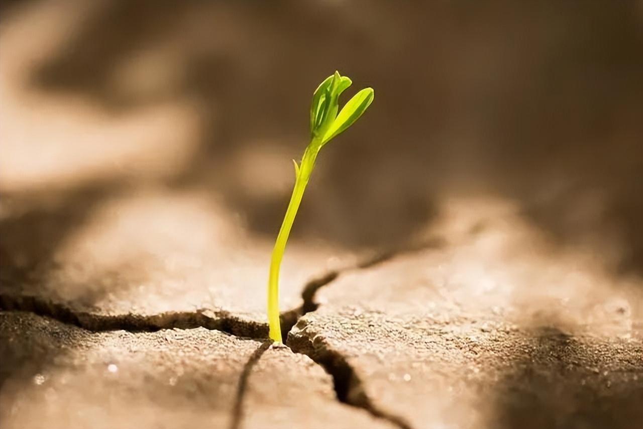 销售人的悄悄话(图1)