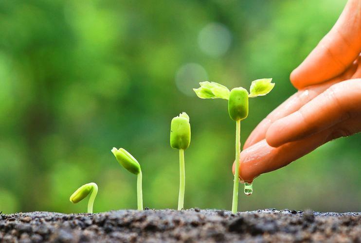 销售人的悄悄话(图5)