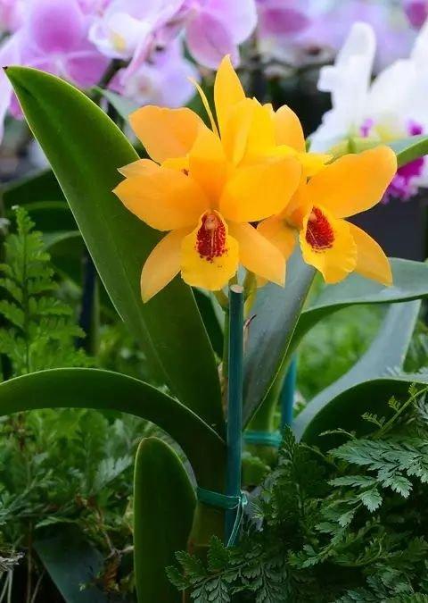 缘来缘去，缘深缘浅，分分合合，皆为天意。一切顺其自然吧(图2)