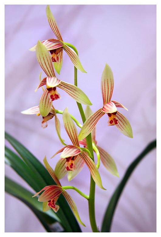 缘来缘去，缘深缘浅，分分合合，皆为天意。一切顺其自然吧(图3)