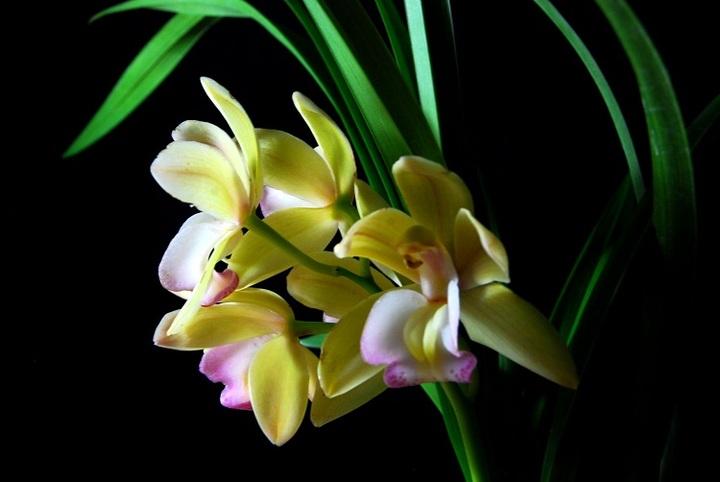 缘来缘去，缘深缘浅，分分合合，皆为天意。一切顺其自然吧(图4)