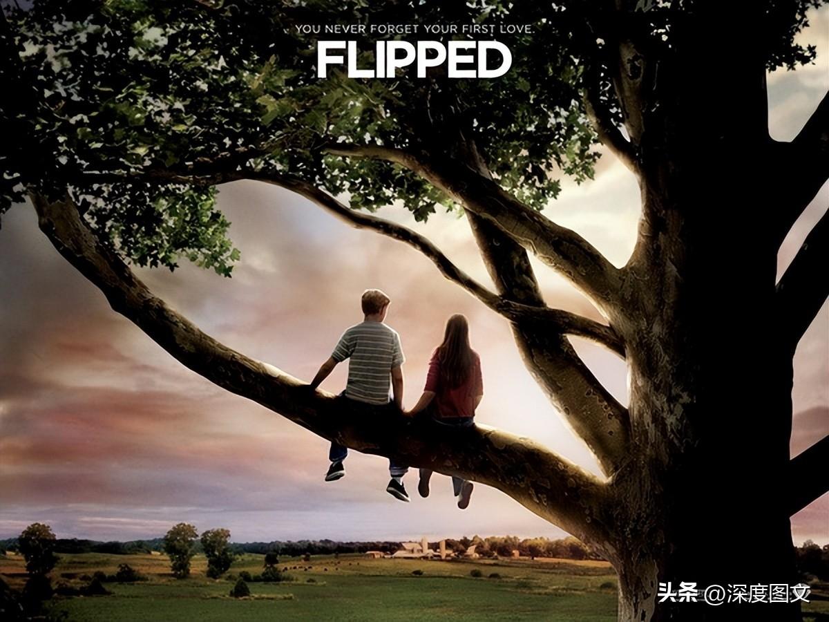 中外经典电影推荐/第七章（36-40部）(图3)