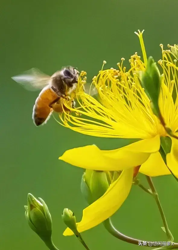 革命烈士的演说激励着我(图1)