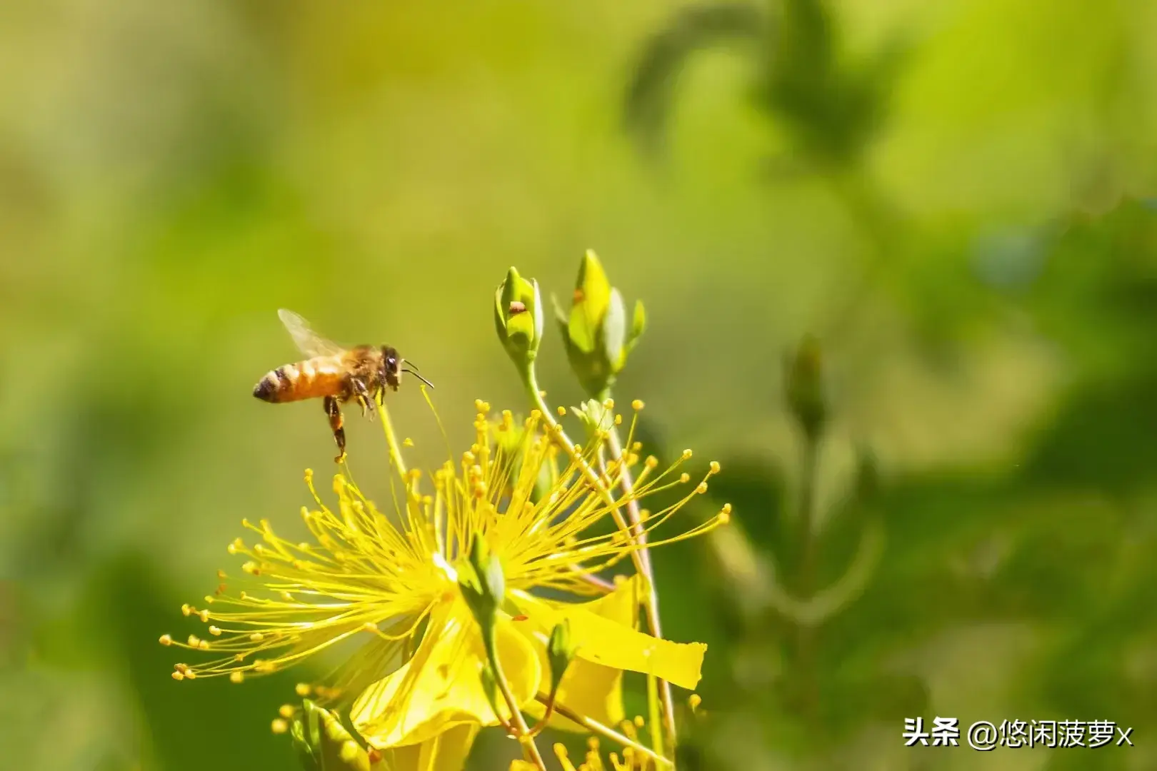 革命烈士的演说激励着我(图2)