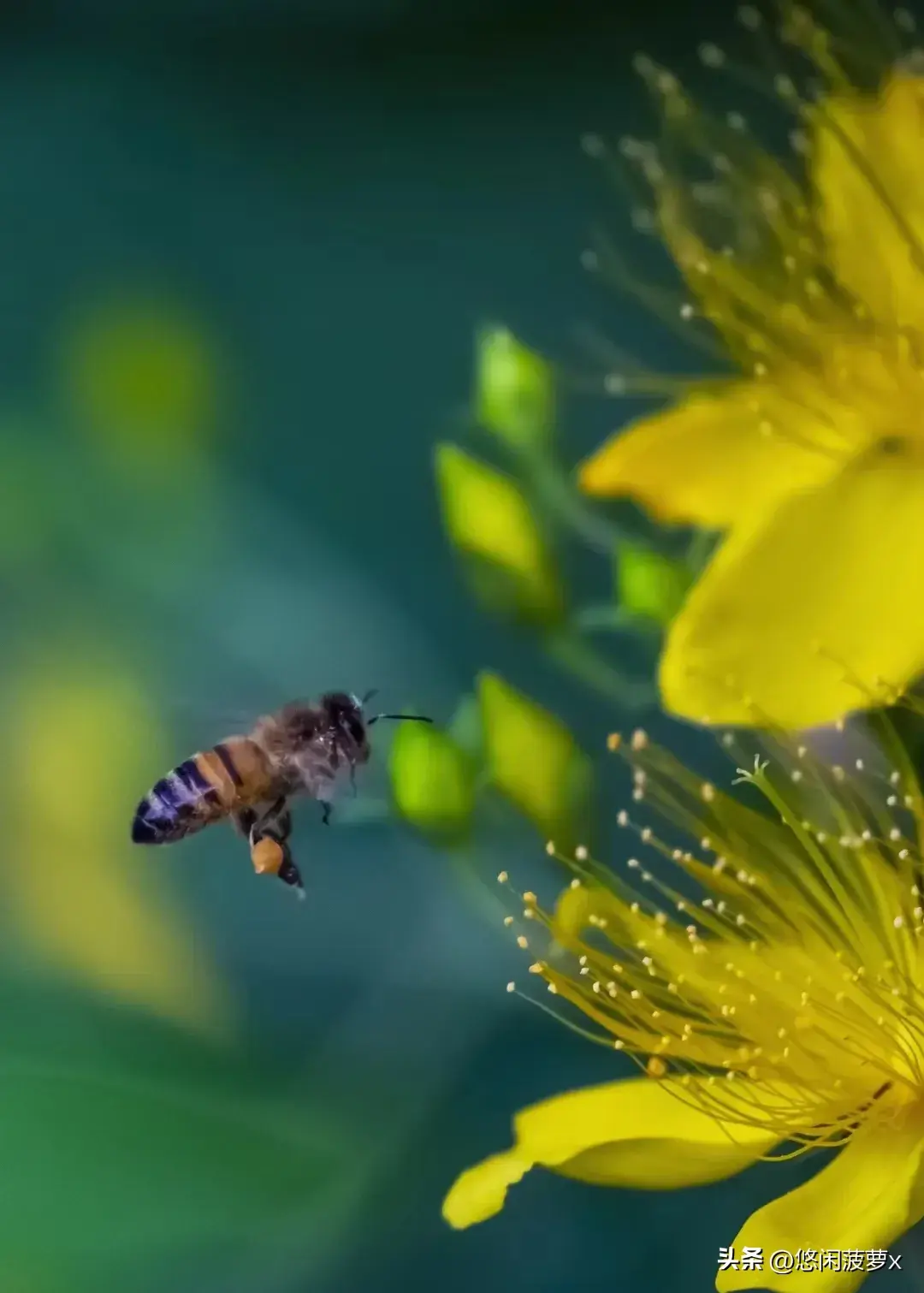 革命烈士的演说激励着我(图3)