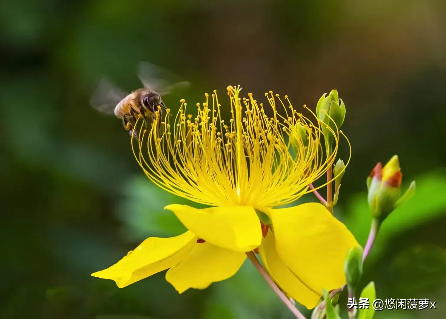 革命烈士的演说激励着我(图4)