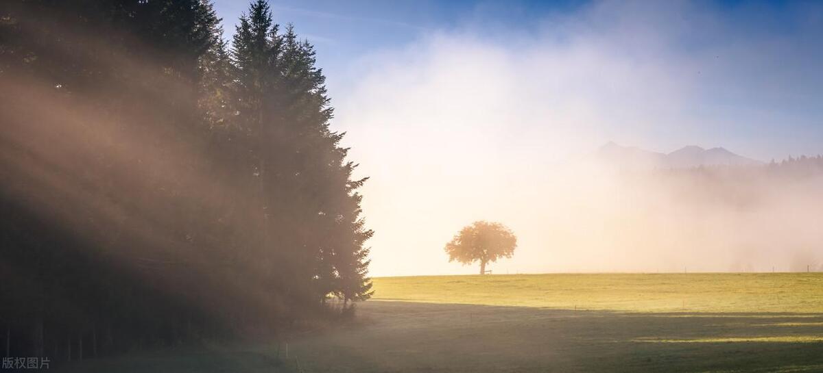 触碰心灵的早安正能量语录短句，完美干净，直达人心(图2)