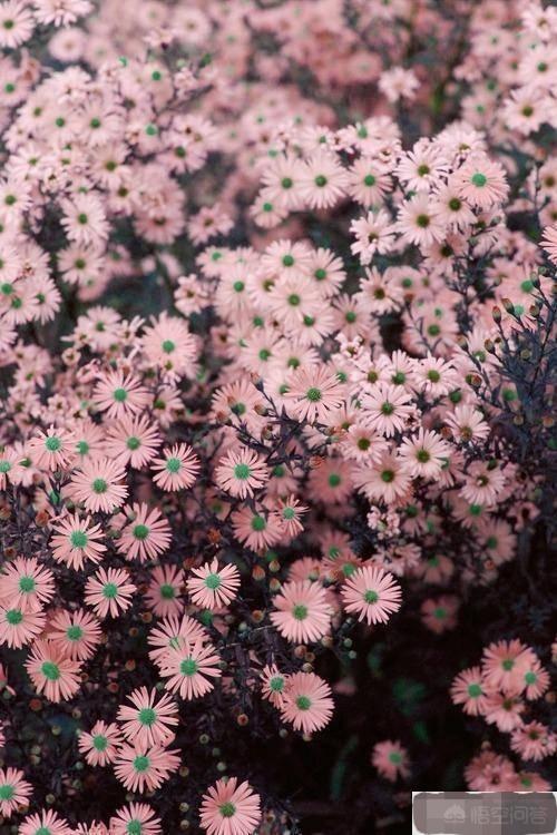 你读过最有力量的一段文字是什么？(图4)