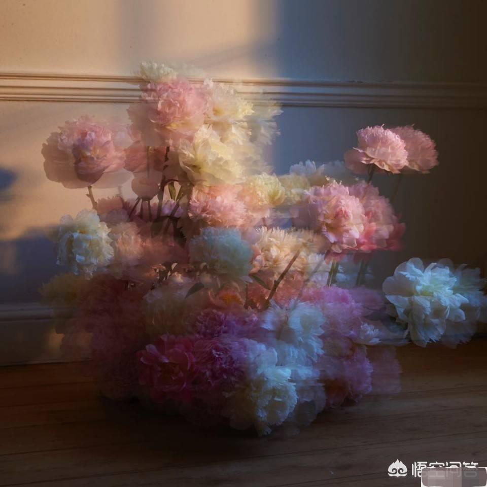 你读过最有力量的一段文字是什么？(图6)