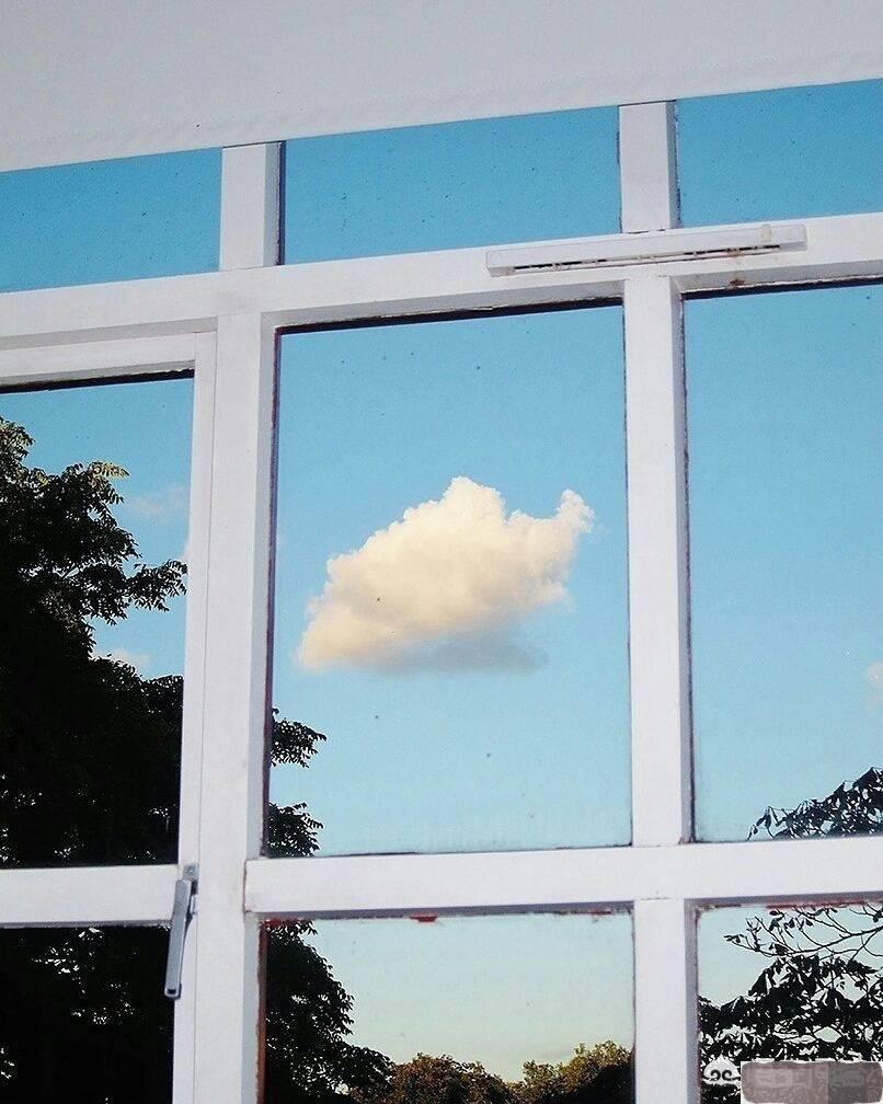 你读过最有力量的一段文字是什么？(图8)