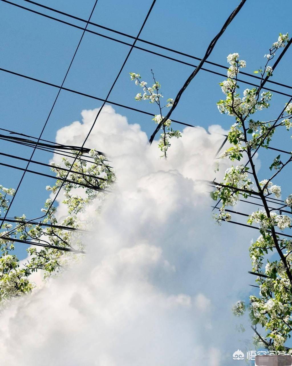 你读过最有力量的一段文字是什么？(图10)